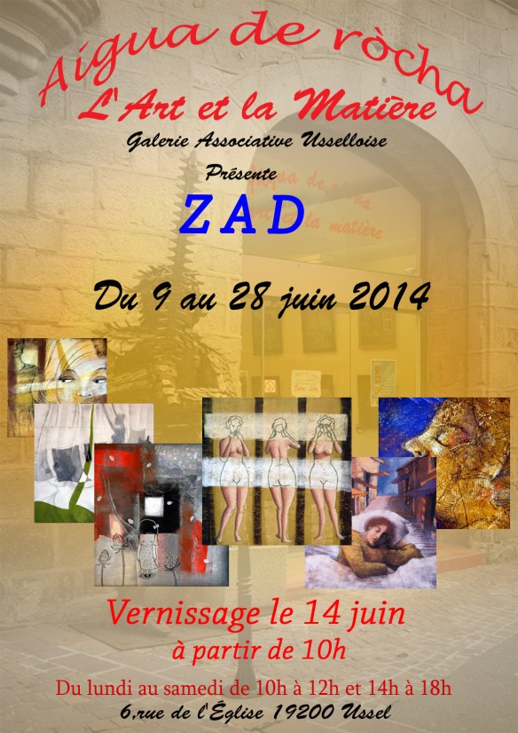 Zad 2014 copie