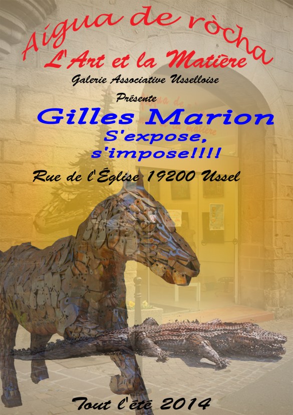 Gilles Marion 2014 copie