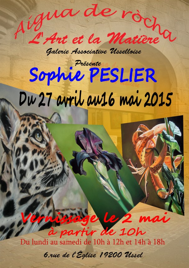 Sophie PESLIER 2015 copie